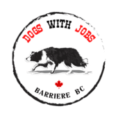 Dogs With Jobs Logo